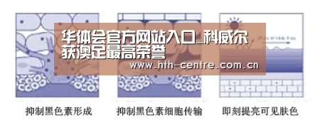 华体会官网下载