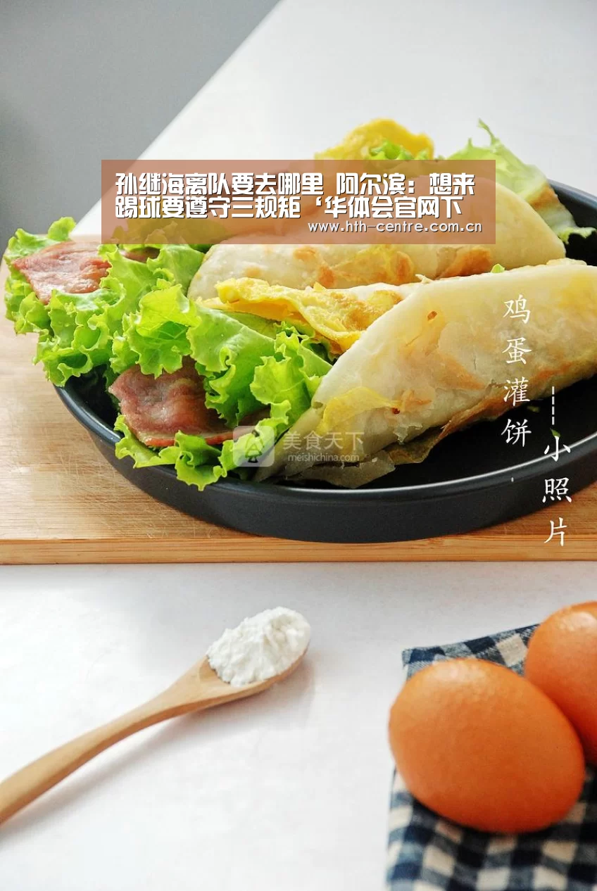 孙继海离队要去哪里 阿尔滨:想来踢球要遵守三规矩‘华体会官网下载’(图2) 华体会官网下载