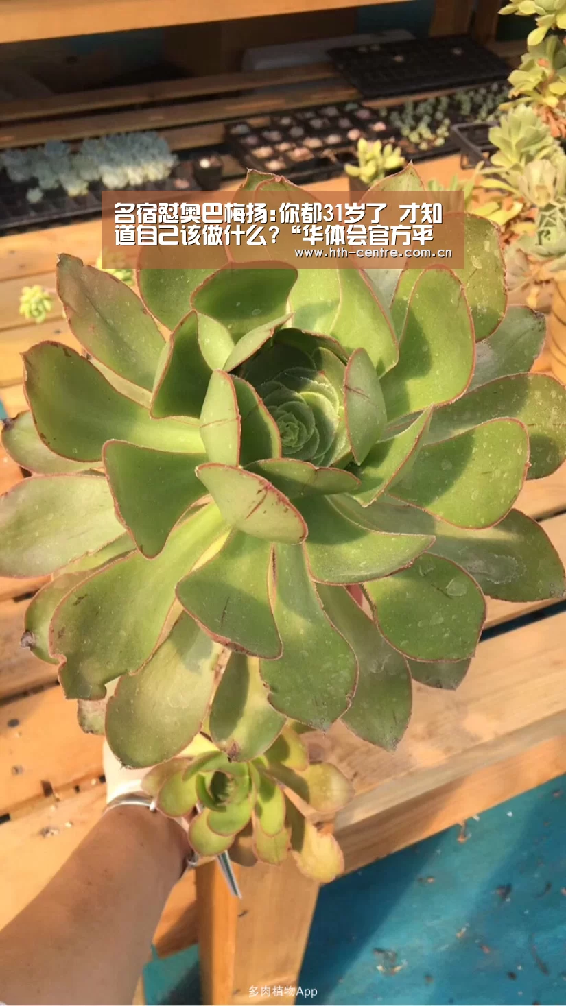 华体会官网下载