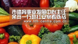 市体育事业发展中心主任余觅一行赴红安察看似马山体育公园项目建设情况【华体会官方平台】(图1) 华体会体育app下载