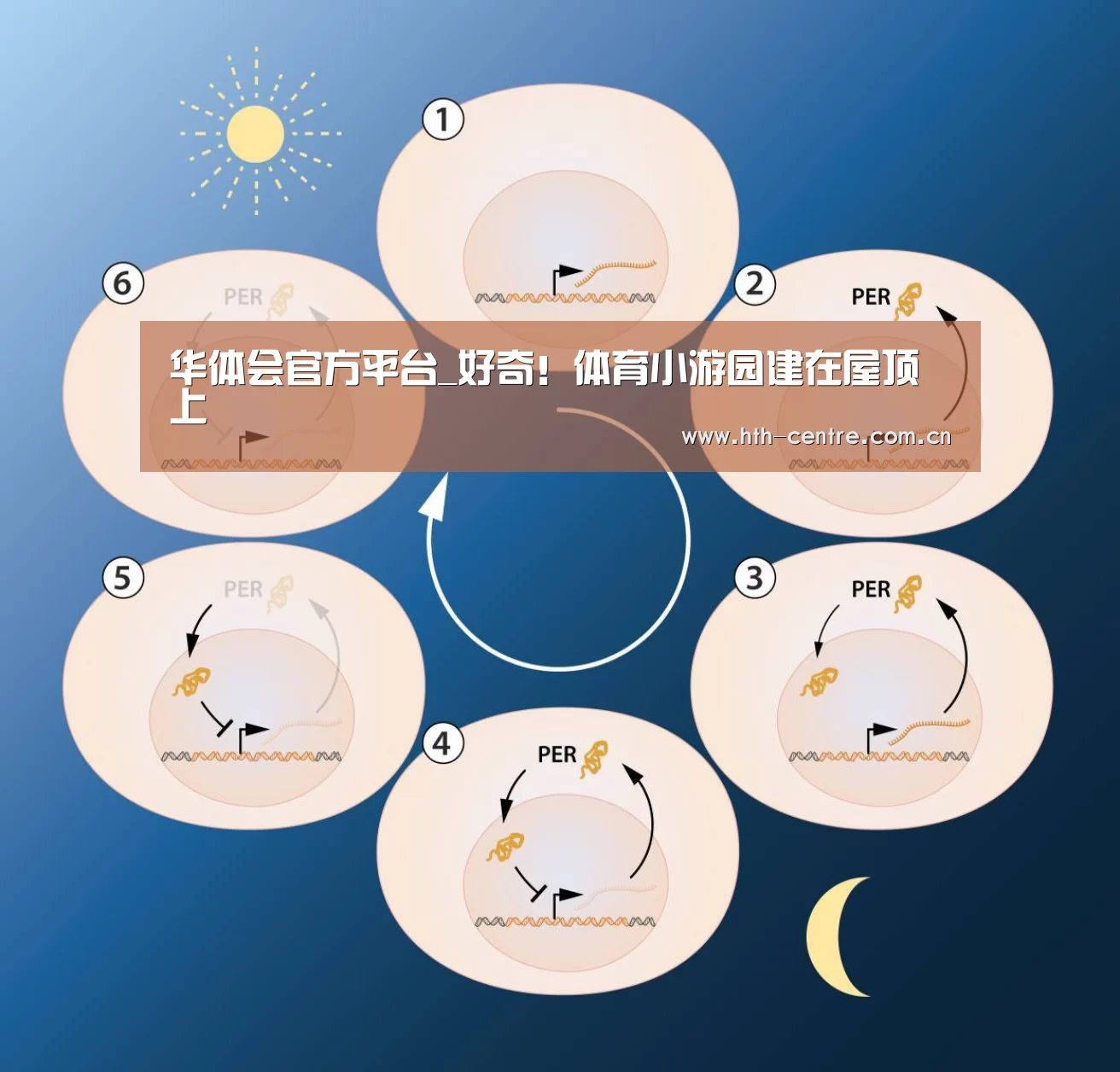 华体会官网下载