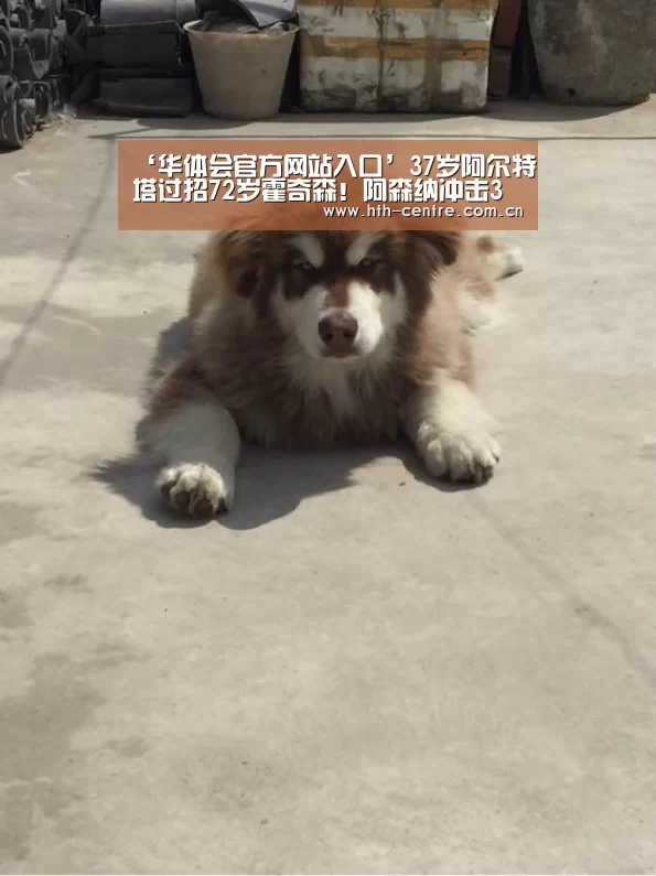 华体会官方网站入口