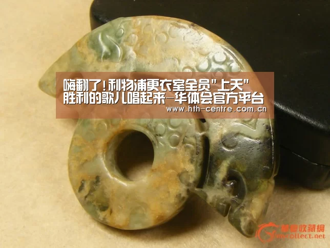 华体会官方网站入口